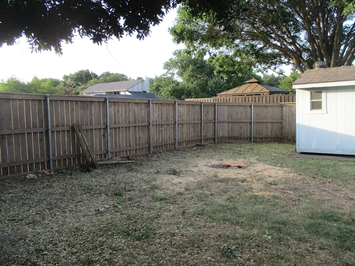 Cleared yard after professional tree removal in Cale